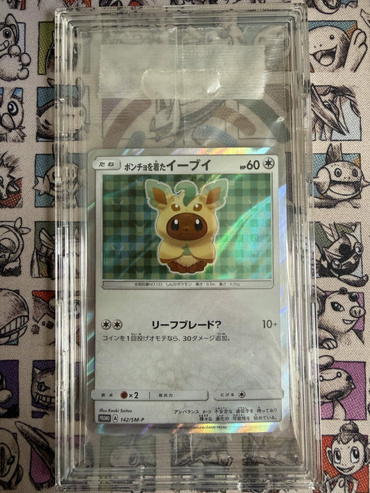 Poncho-wearing Évoli 142 Sun & Moon Promos