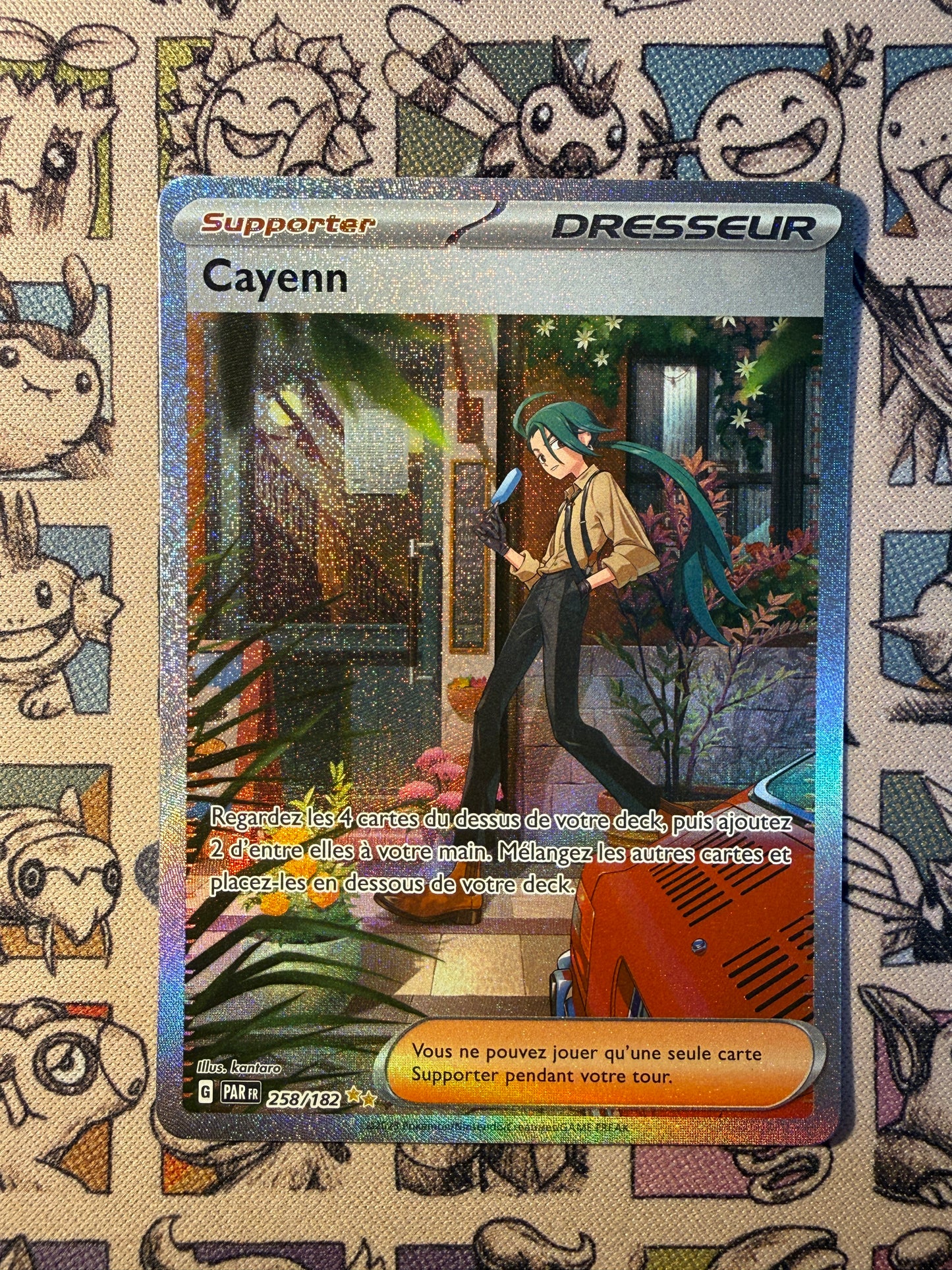 Cayenn 258 Faille Paradoxe