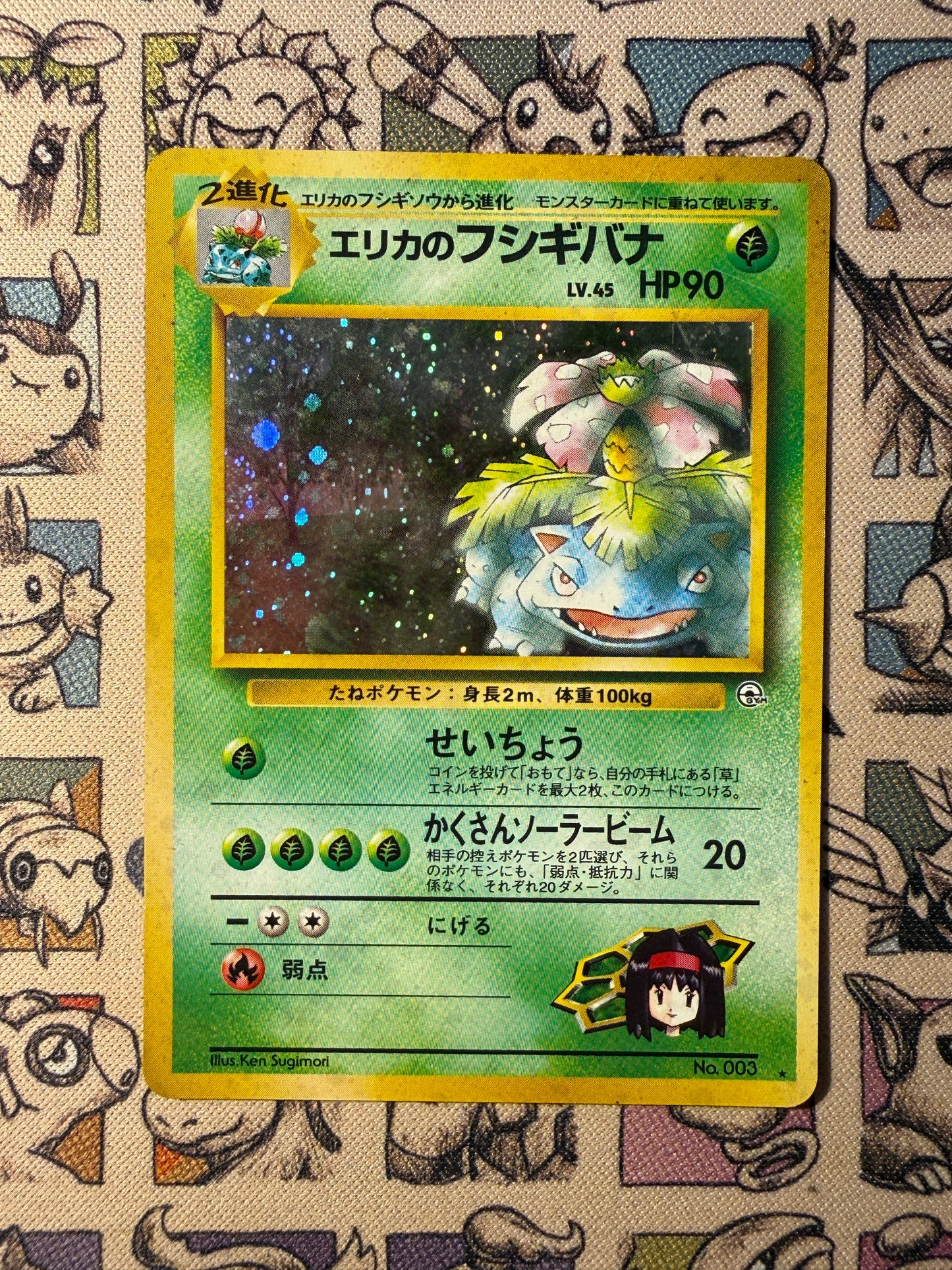 Erika's Venusaur 16 Challenge from the Darkness