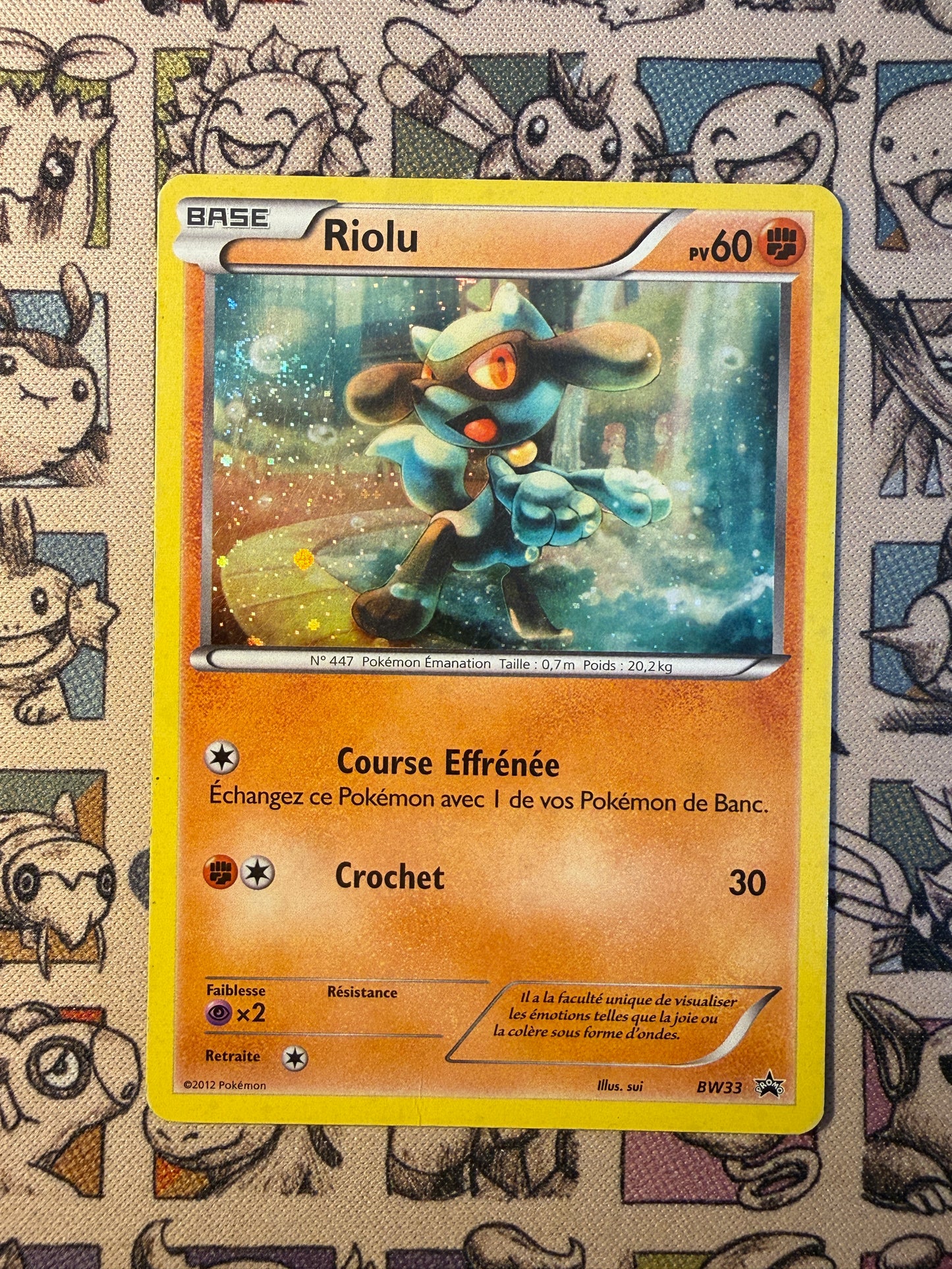 Riolu  (BW 33) 33 Promos Noir & Blanc