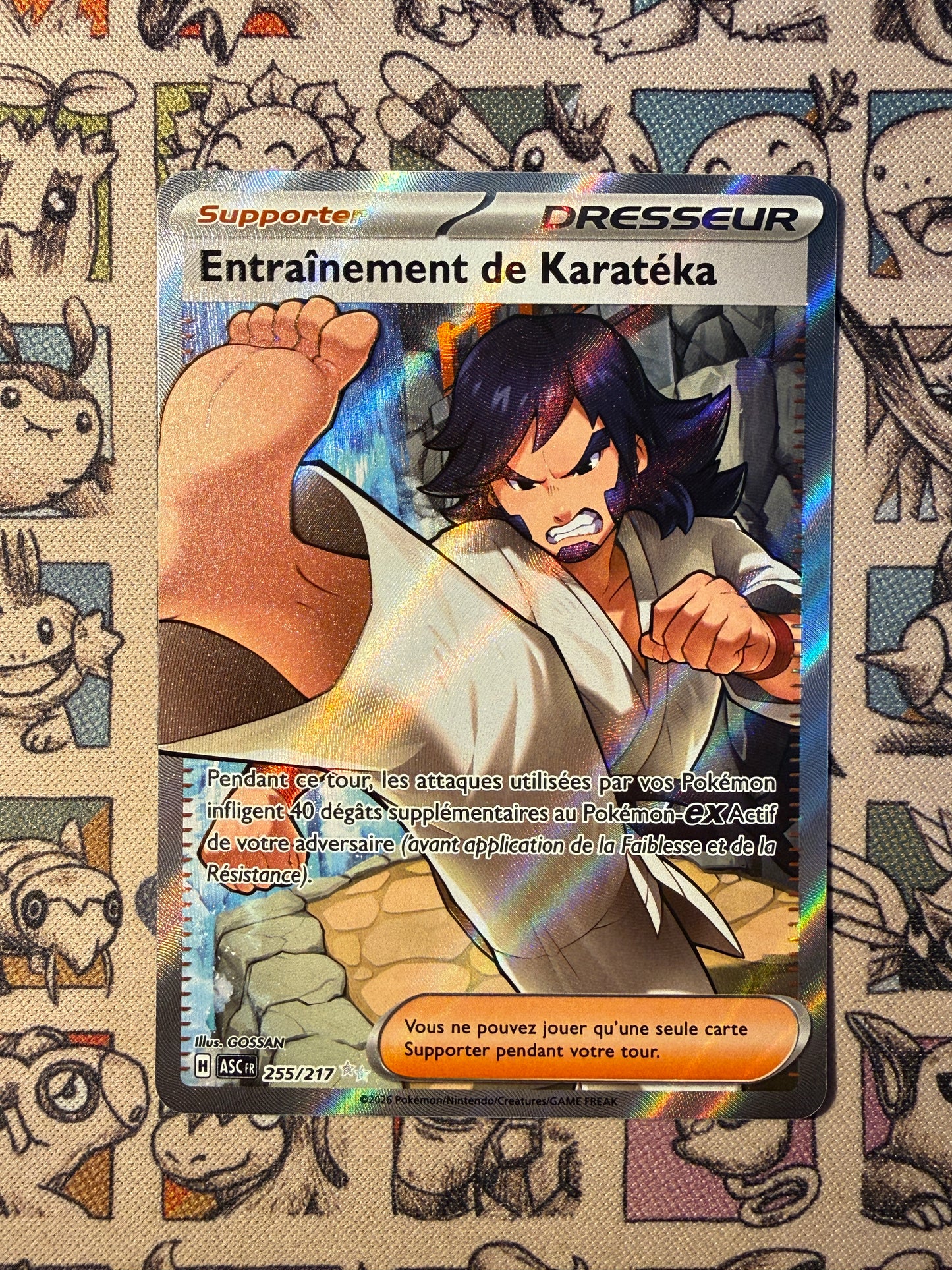 Entrainement de Karatéka 255 Héros Transcendants