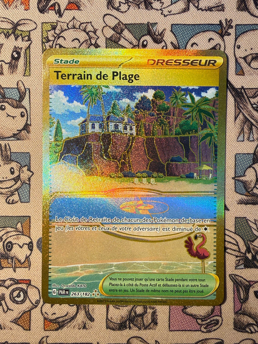 Terrain de Plage 263 Faille Paradoxe