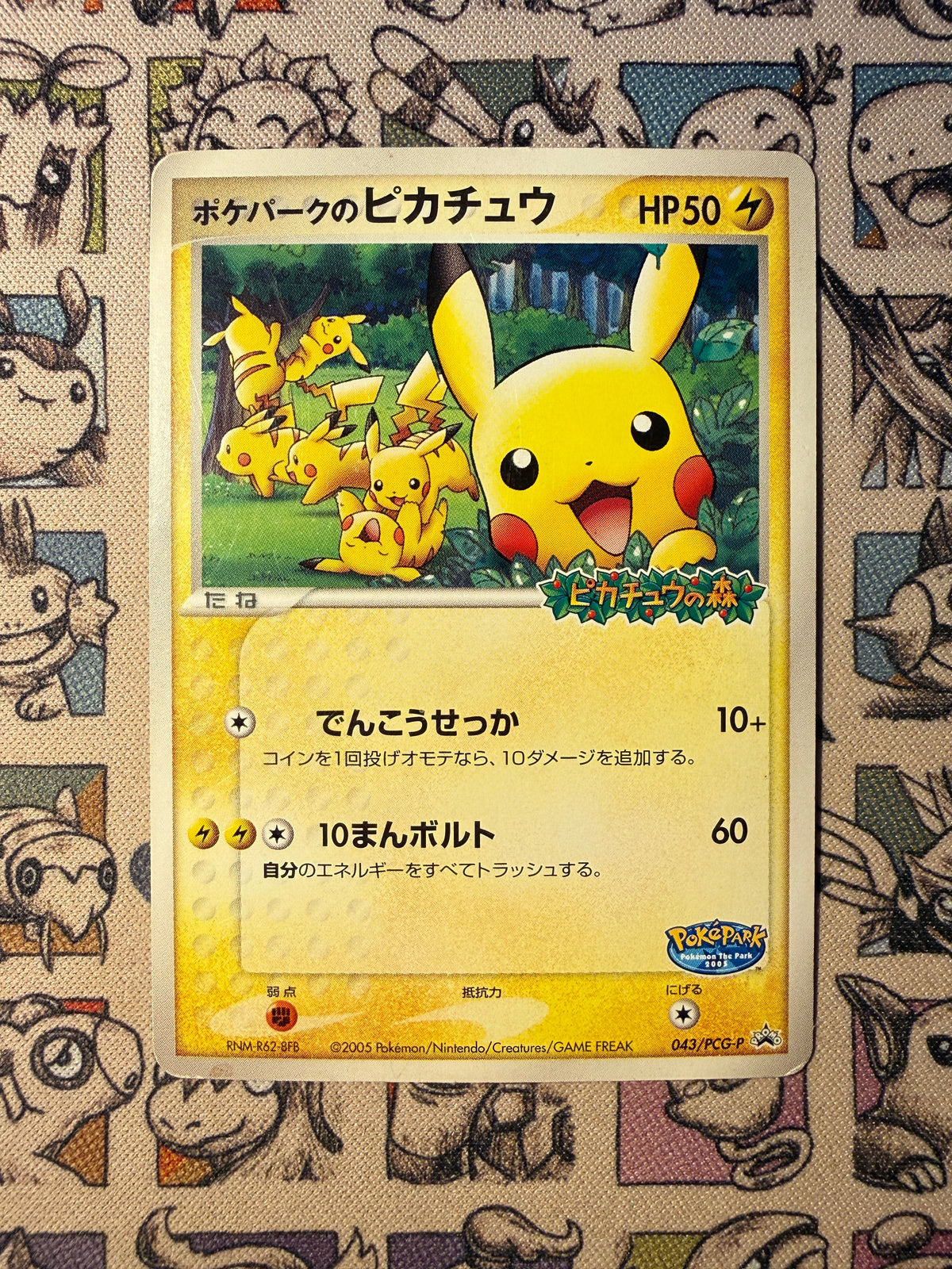 PokéPark's Pikachu 43 PCG-P Promos