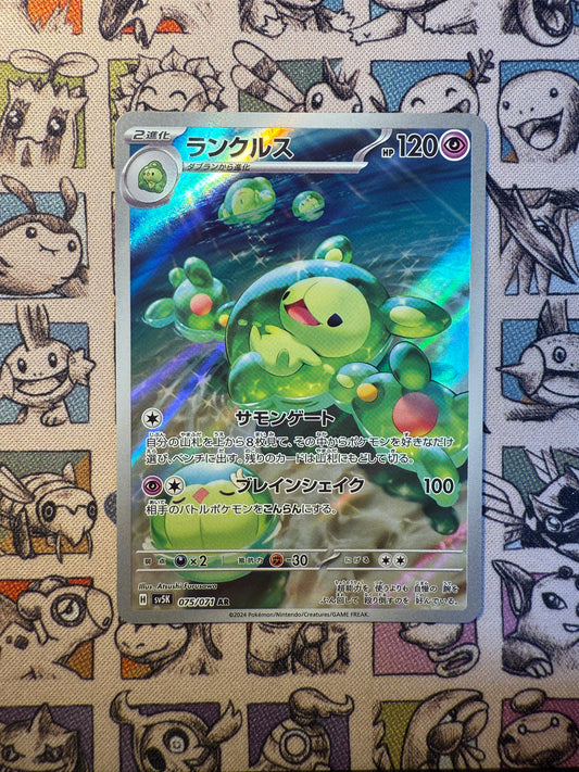 Symbios 75 Wild Force