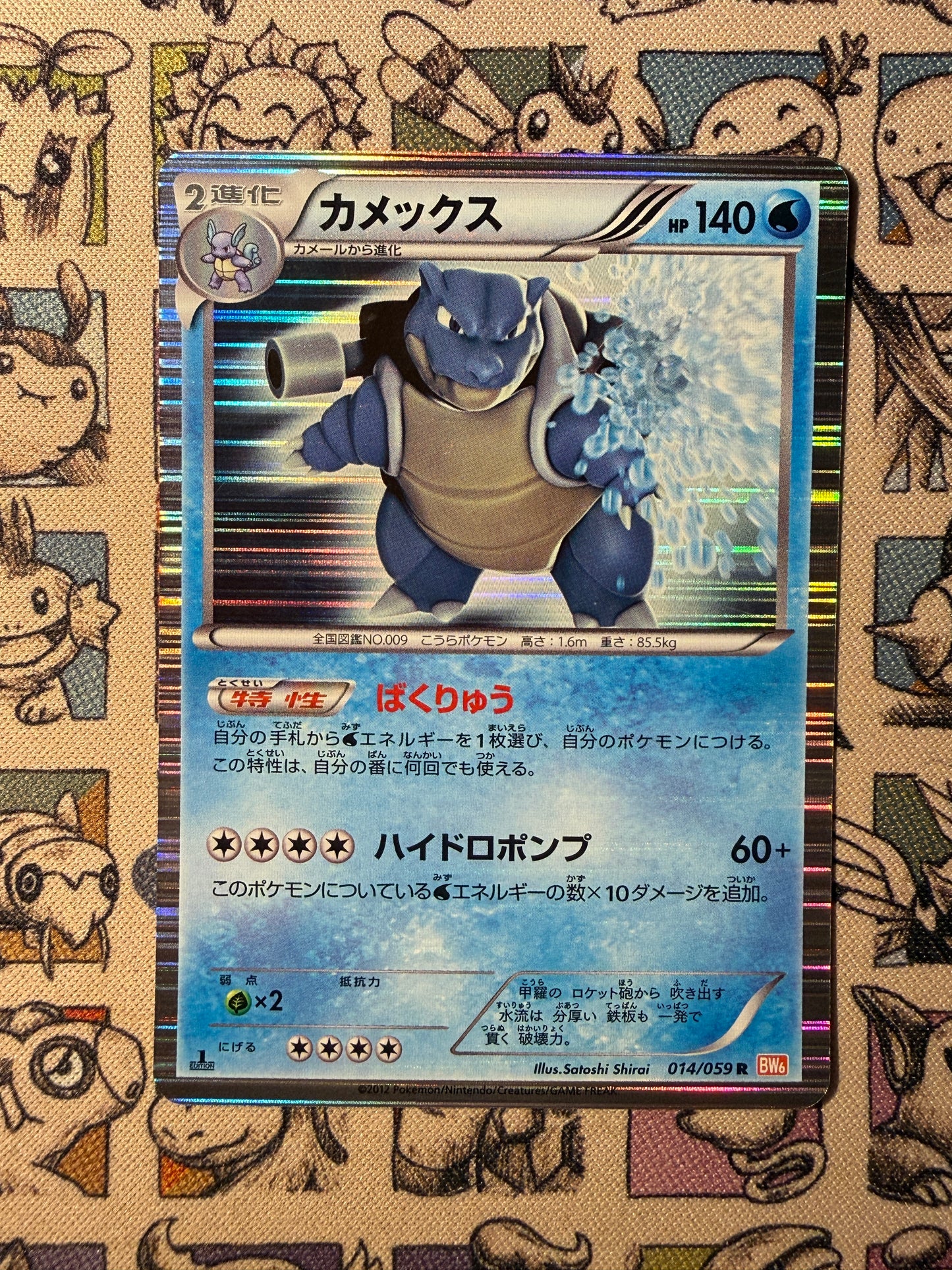Tortank 14 Cold Flare EDITION 1