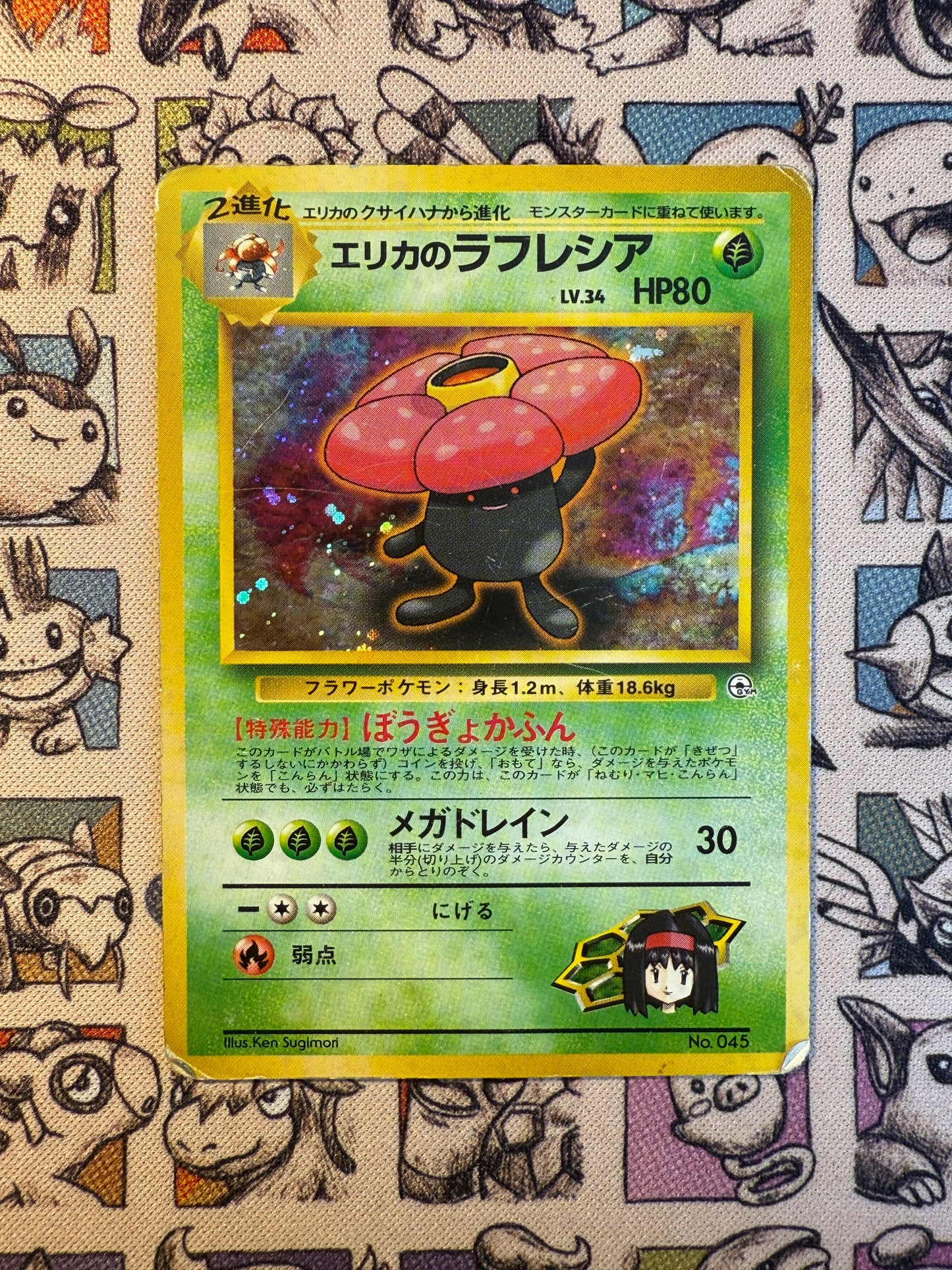 Erika's Rafflesia 4 Tamamushi City Gym