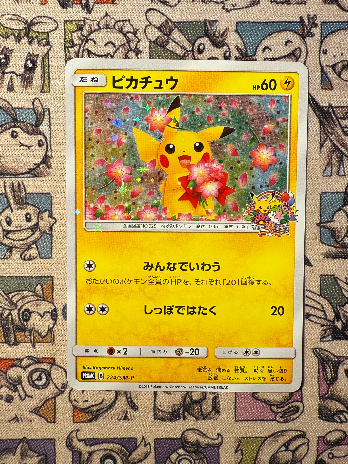Pikachu 224 Sun & Moon Promos