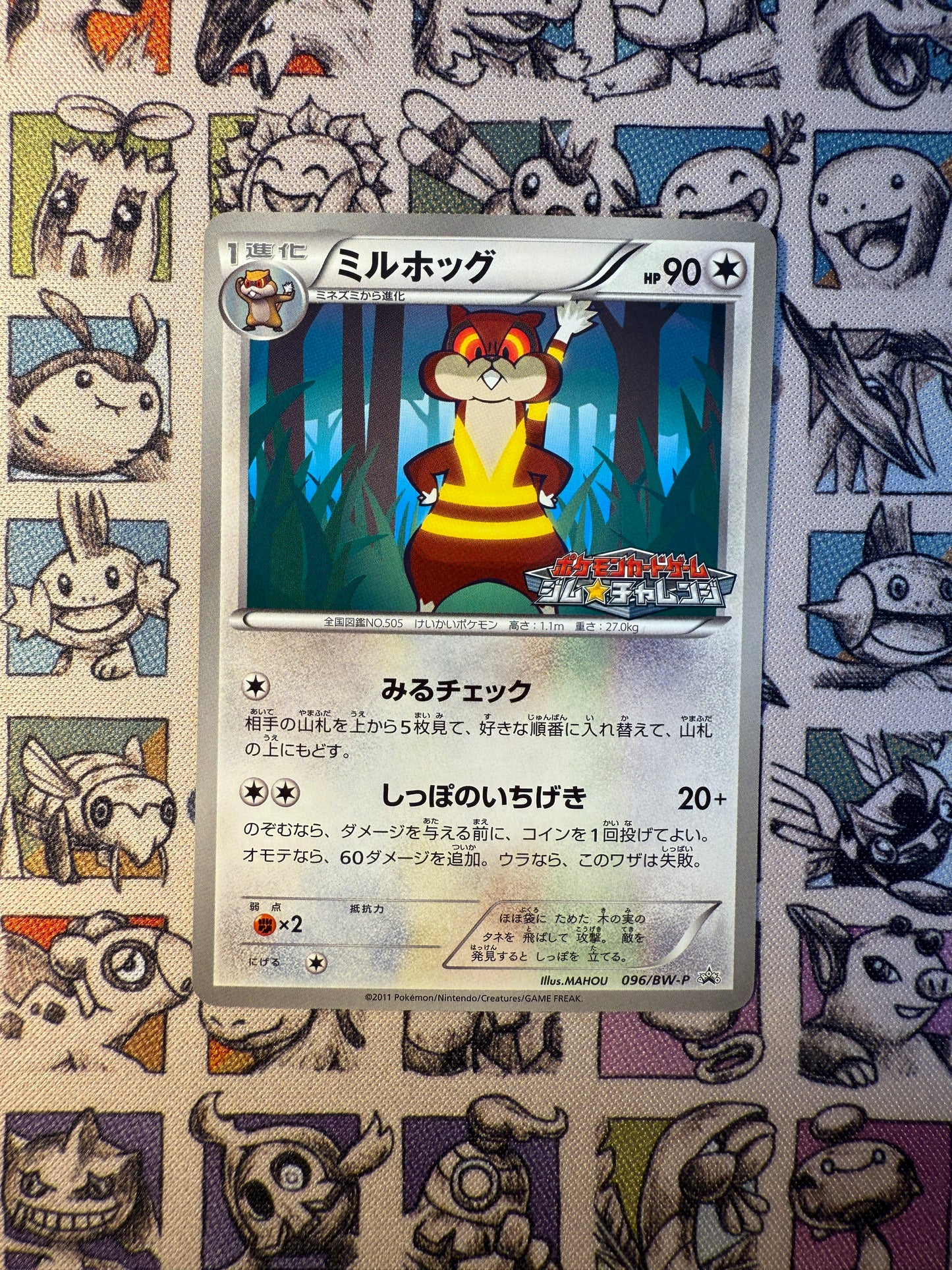 Miradar promo 096/BW-P February 2011 Gym Challenge pack