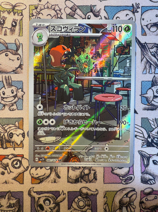 Scovilain 81 Violet ex