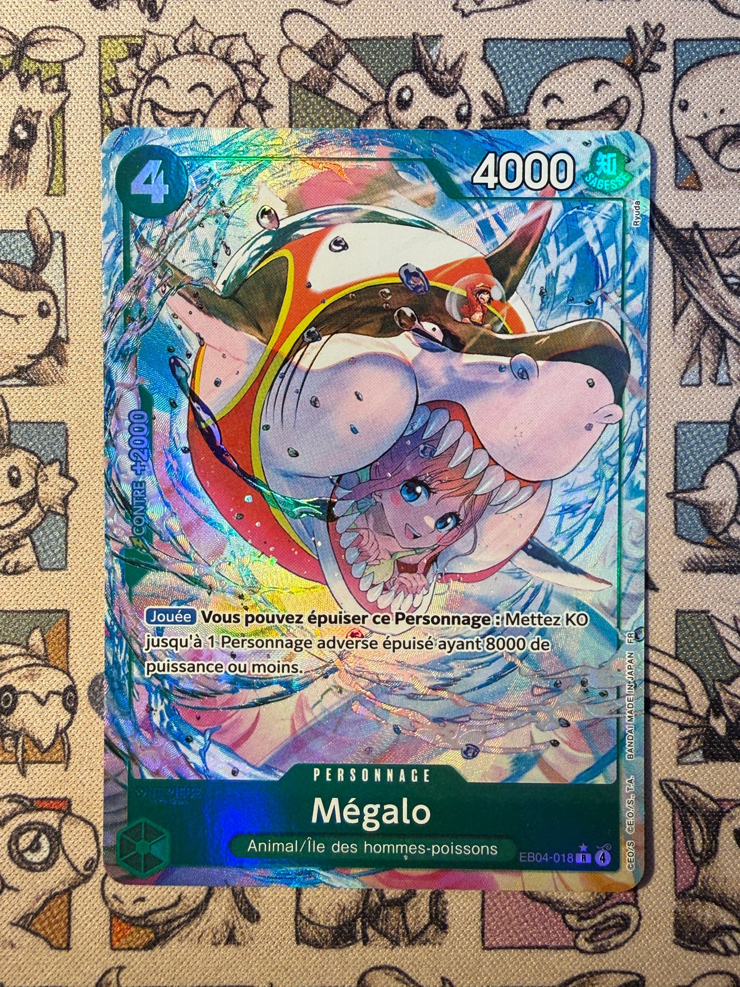 Mégalo EB04 018