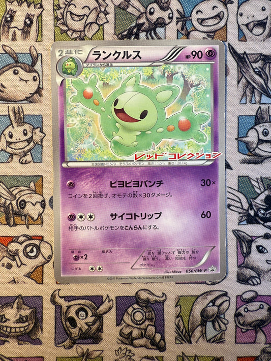 Symbios PROMO 056/BW-P