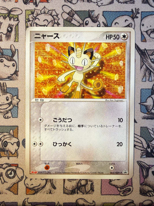 Miaouss 62 ADV-P Promos