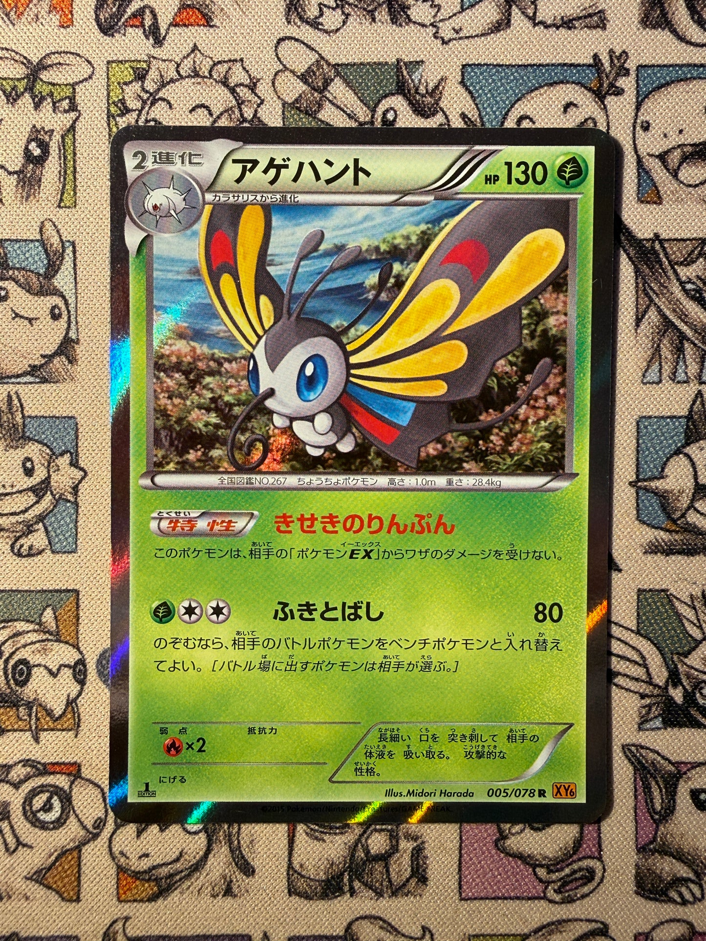 Charmillon 5 Emerald Break EDITION 1