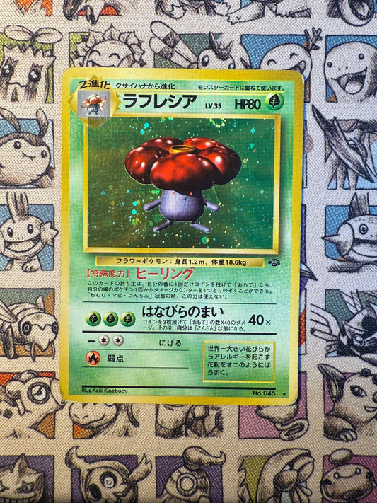 Rafflesia 14 Pokémon Jungle