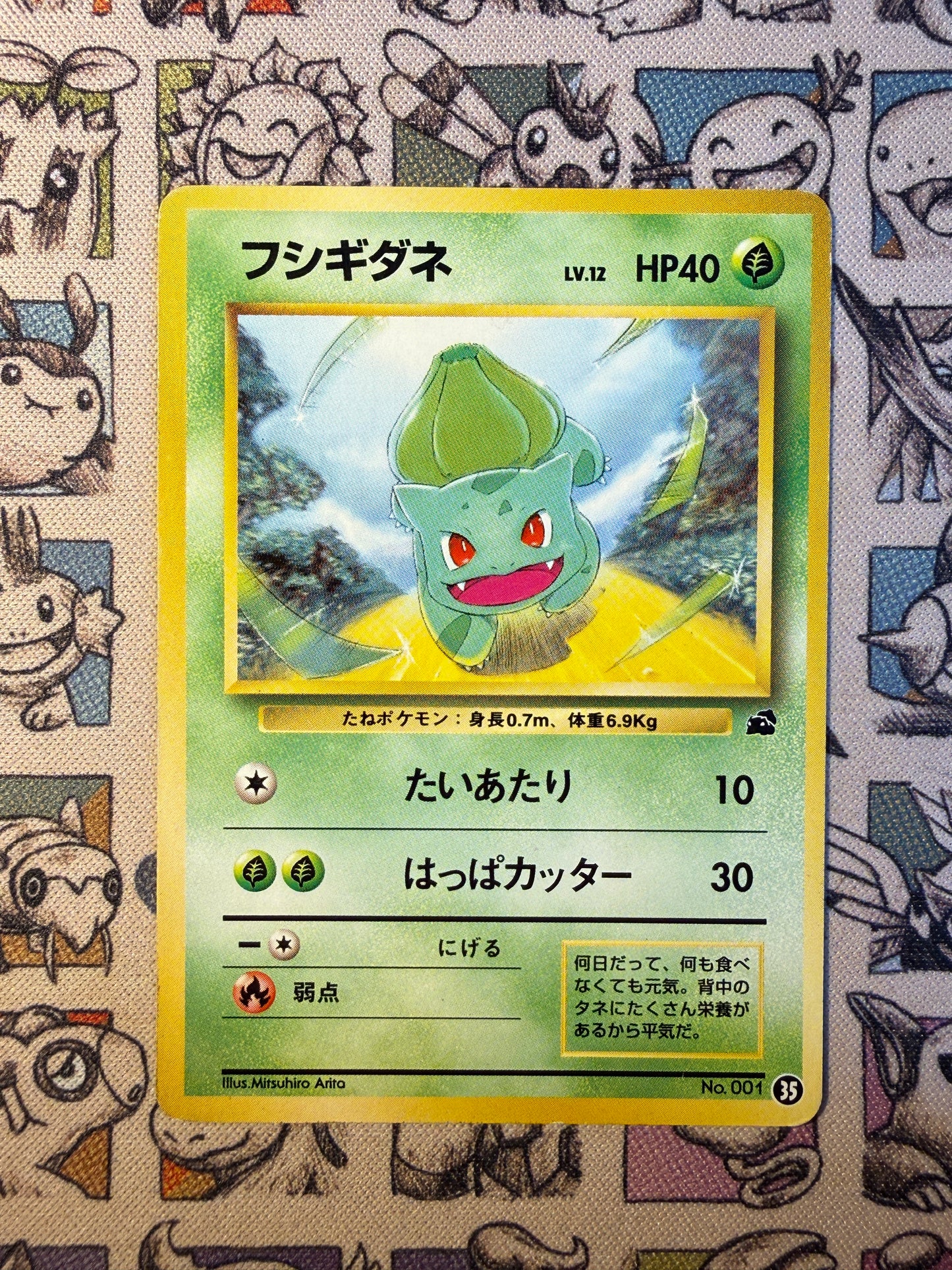 Bulbizarre 1 Intro Pack: Bulbasaur Deck N35