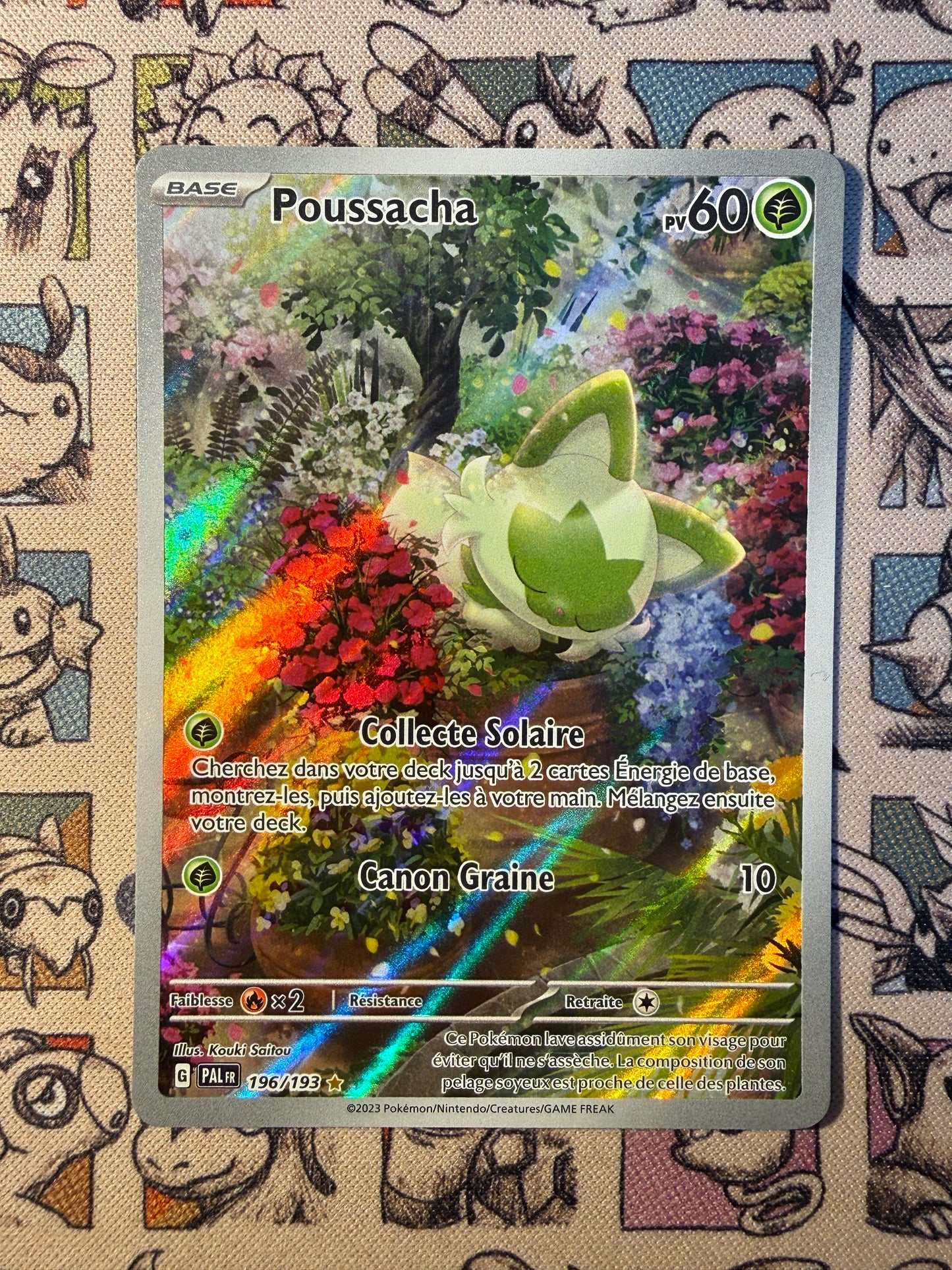 Poussacha 196 Evolutions à Paldéa