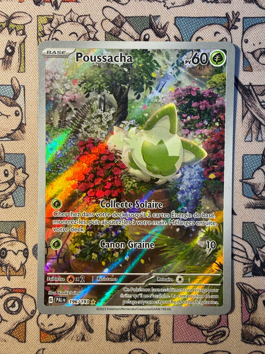 Poussacha 196 Evolutions à Paldéa