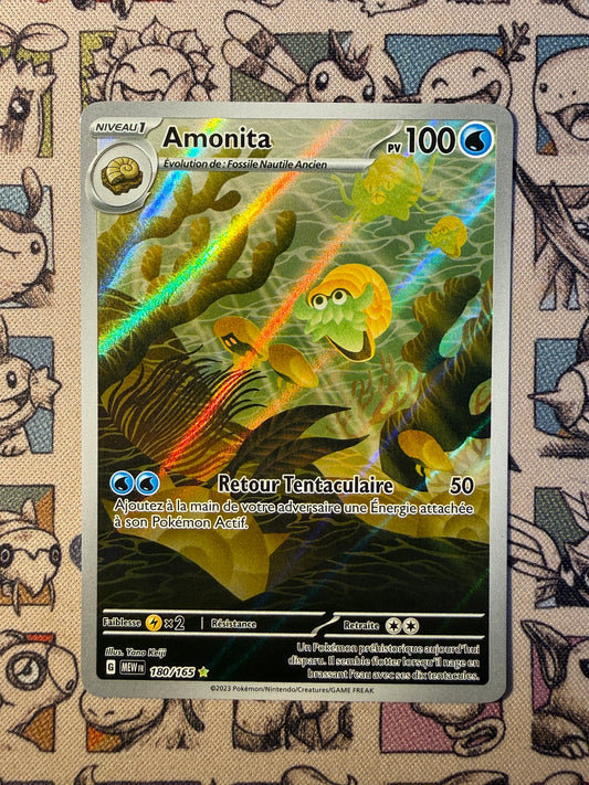 Amonita 180 151