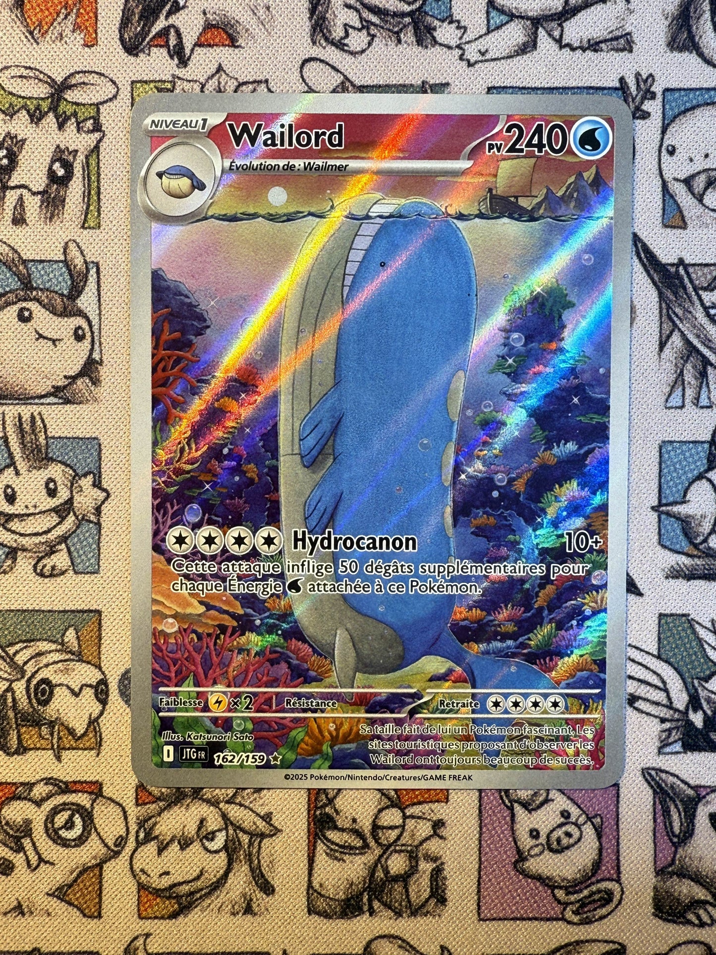 Wailord 162 Aventures Ensemble