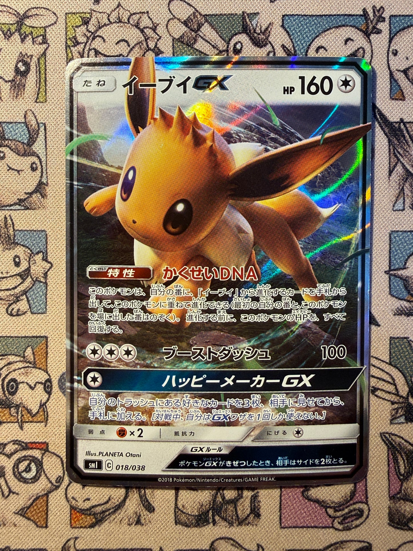Évoli GX 18 Eevee GX Starter Sets (dmg)