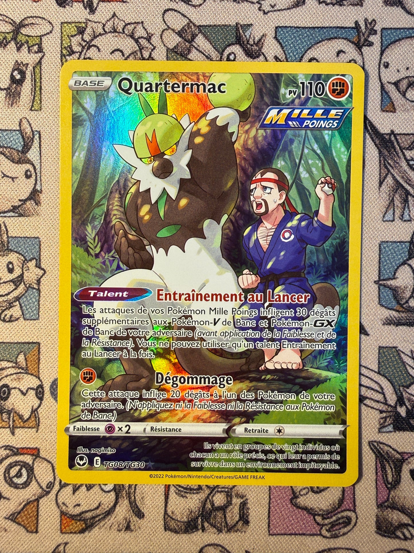 Quartermac TG08 Tempête Argentée: Trainer Gallery