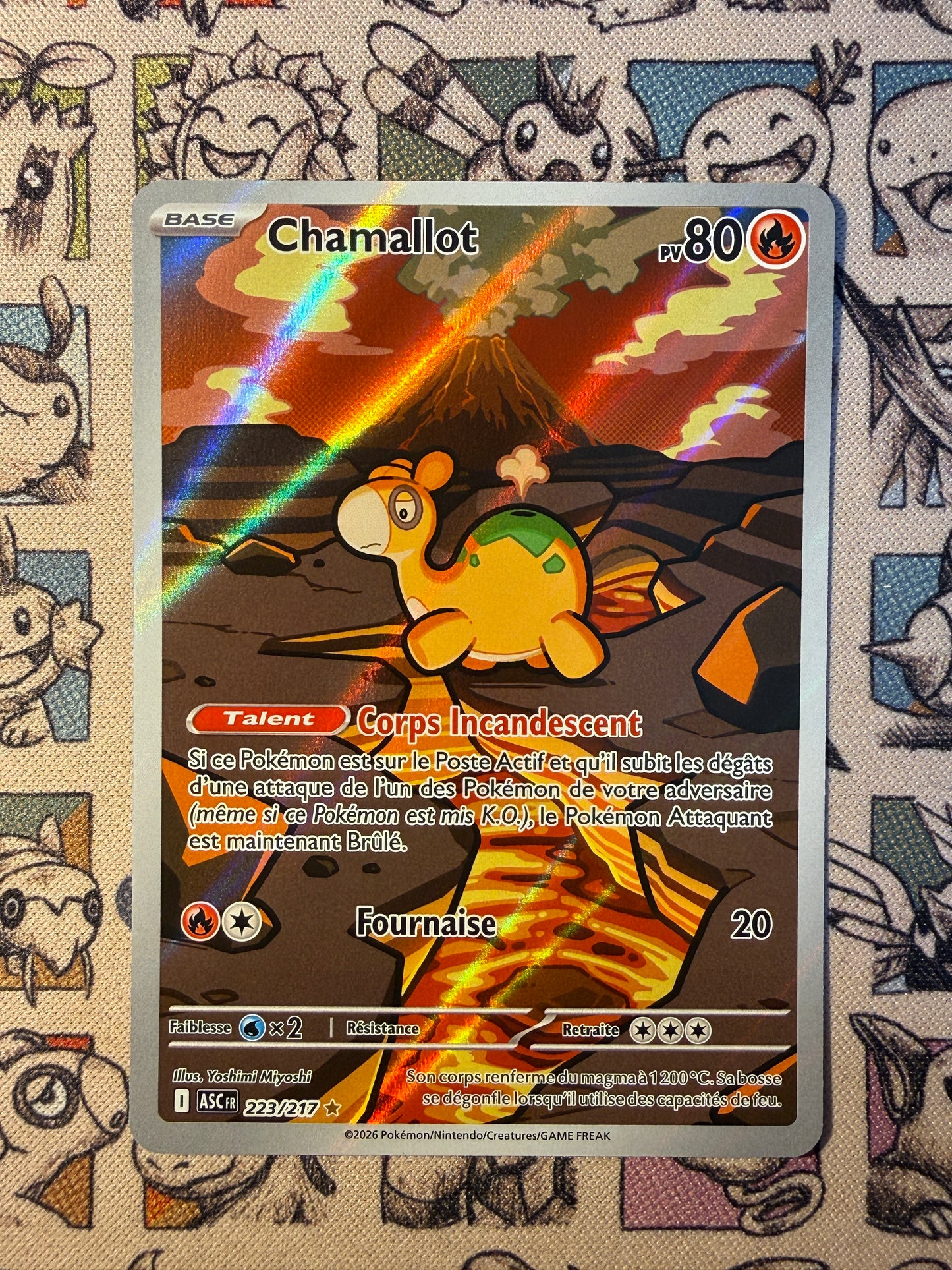 Chamallot 223 Heros Transcendants