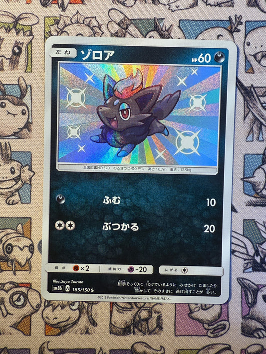 Zorua 185 GX Ultra Shiny